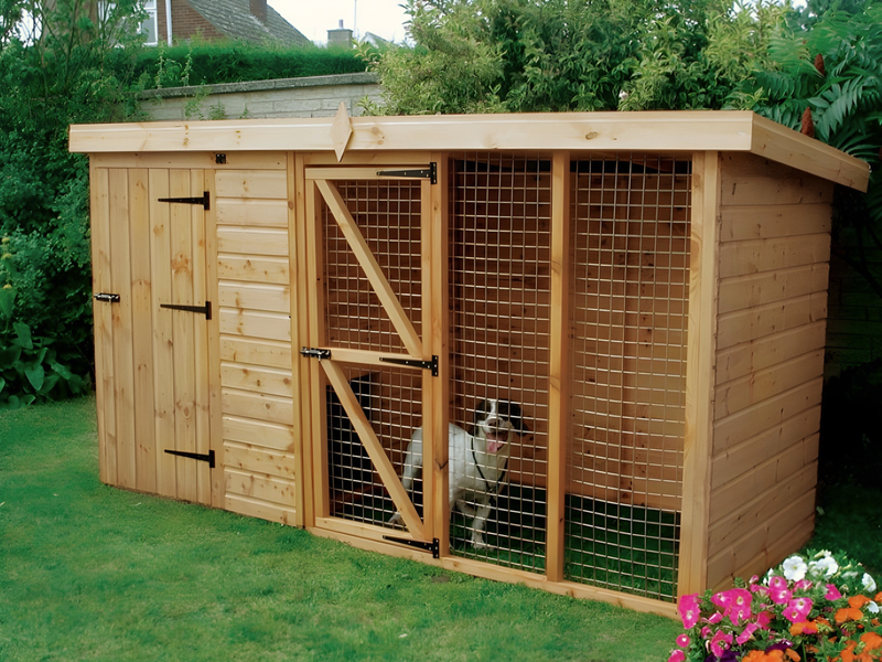 Wooden kennel with 2 seperate sections. One with wire mesh door, one with single wooden door. Viewed from the front. 